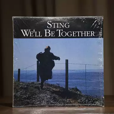Płyta winylowa Sting - We'll Be Together