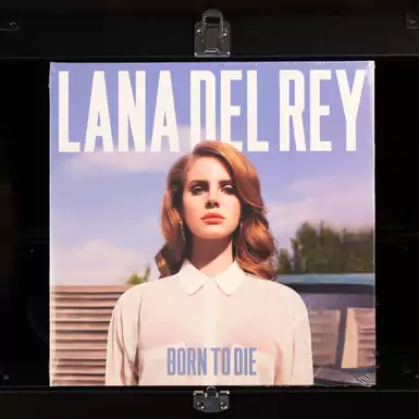 Lana Del Rey vinyl record