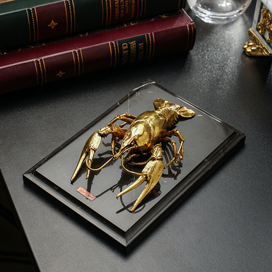 Cancer figurine covered with gold