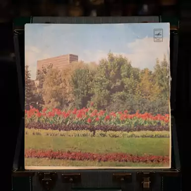 Vinyl record Dmitry Gnatyuk sings