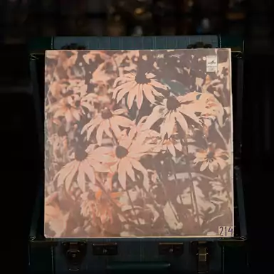 Vinyl record State Bandura Chapel