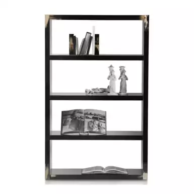 "Aura" natural horn bookcase by Arca Horn