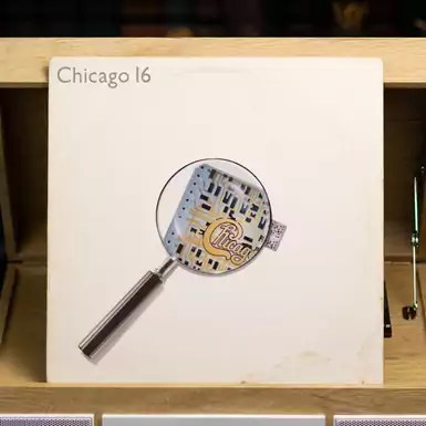 Vinyl Record Chicago 16