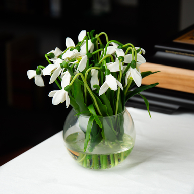 Bouquet of snowdrops from cold porcelain, author Marina Malinovskaya