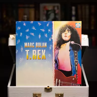 Vinyl record Marc Bolan - T. Rex (1991)