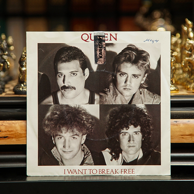 Vinyl Queen - I Want To Break Free (1984)