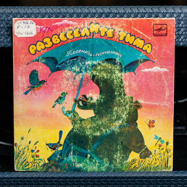 Vinyl record Cheer Up Tim 