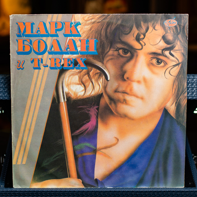 Vinyl record Marc Bolan and T-Rex 