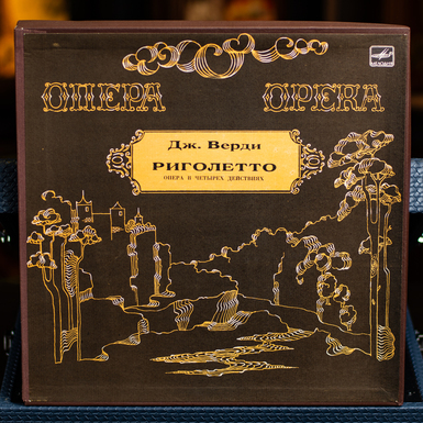 Vinyl record G. Verdi - Rigoletto 