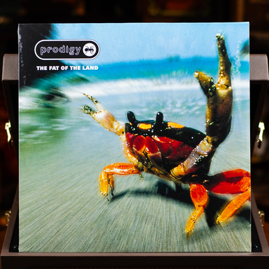 Vinyl record Prodigy – The Fat Of The Land 