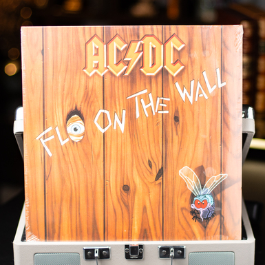 Vinyl record AC/DC – Fly On The Wall 