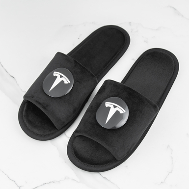 Men's slippers "Tesla" in a gift case