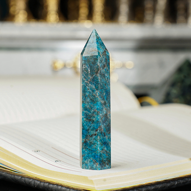 Apatite Tropic Obelisk by Stone Art Designe (41 g)