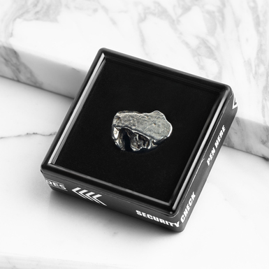 Certyfikowany meteoryt „Campo Del Cielo”, 16,57 g (Argentyna)