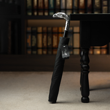 Umbrella "Silver eagle" from Pasotti